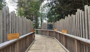 Avondale House, Wicklow – An Essential Travel Guide for 2025