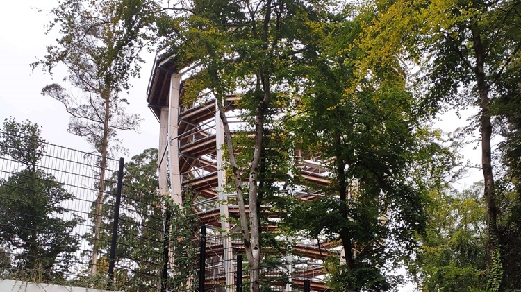 Avondale-Beyond-The-Trees-Structure 2 The Viewing Tower at the Beyond the Trees experience at Avondale House and Forest Park in County Wicklow, Ireland