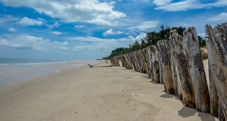 Raven Point-Wexford Wood used to block erosion at the Raven Point Nature Reserve in Wexford