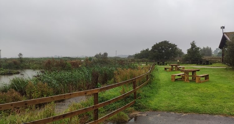 Wexford Wildfowl Reserve-Wexford The marshy land at the Wexford Wildfowl Reserve in the North Slob.