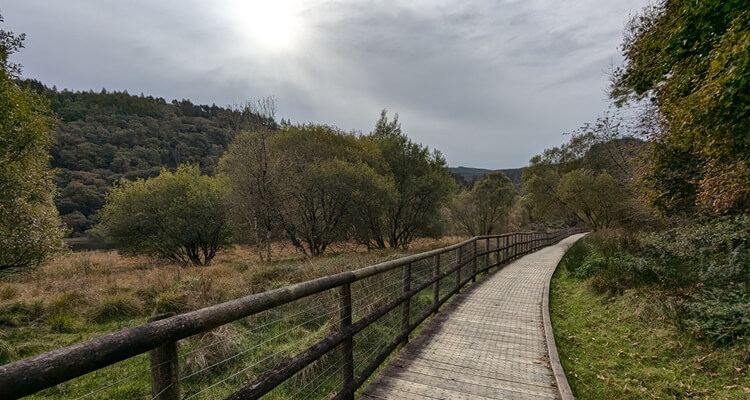 Glendalough - Walkway 2 An accessible wooden boardwalk on the Green Route in Glendalough