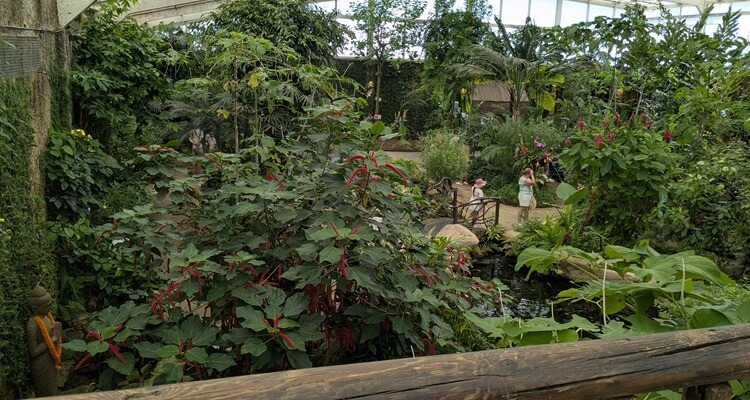 The Butterfly Park, or Mariposario, between Benalmadena and Fuengirola on the Costa Del Sol